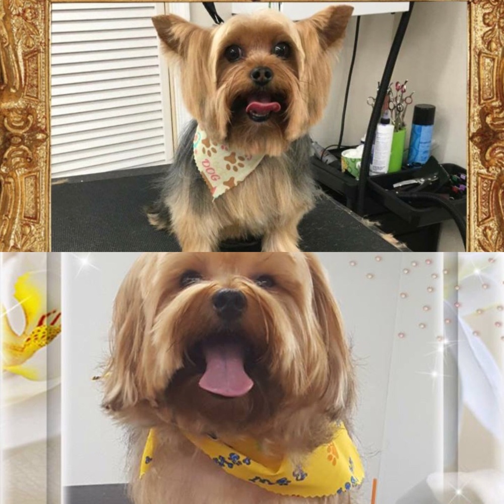 Meet your Posher, Natalie